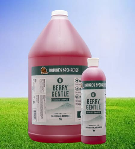 A bottle of liquid and a gallon of liquid on grass.