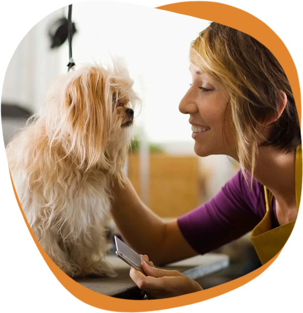 A woman is grooming her dog at the groomer