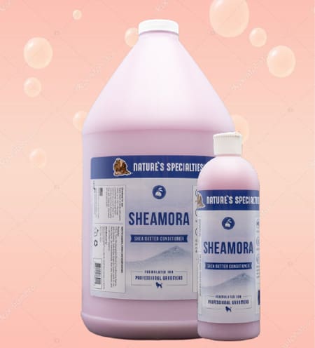 A bottle of shampoo and conditioner on a pink background