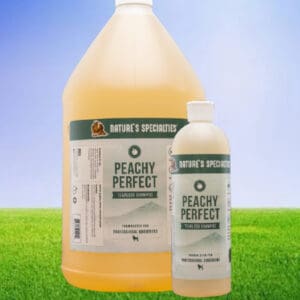 A bottle of liquid and a gallon of water on grass.