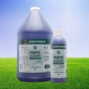 A bottle of water and a container on the grass.